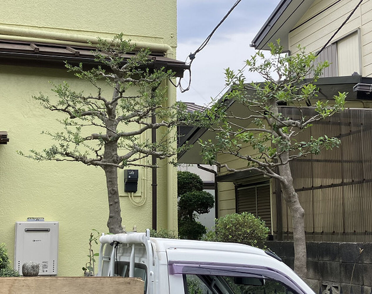 ブログ画像