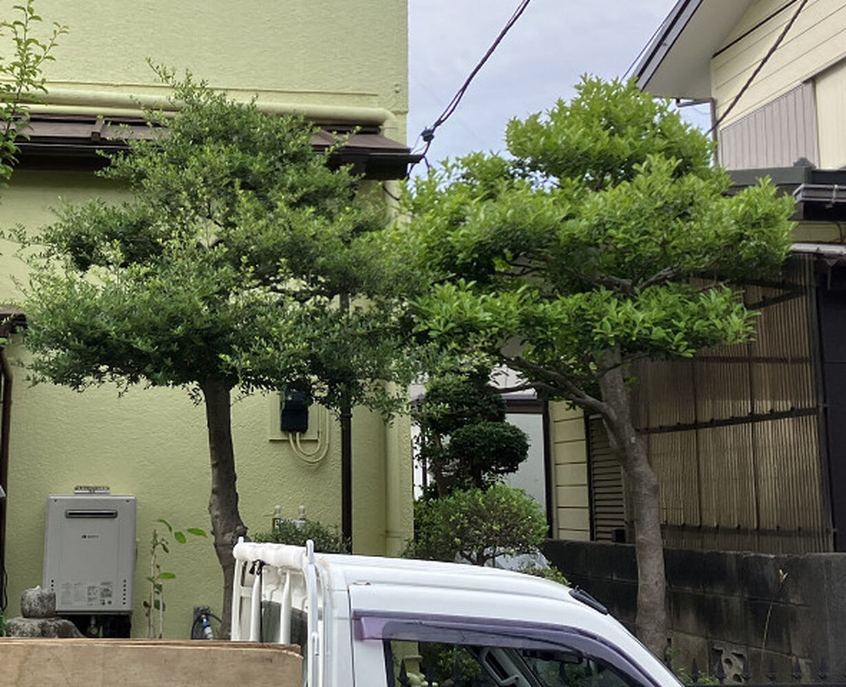 ブログ画像