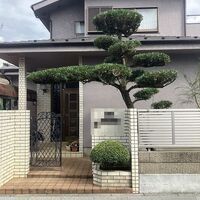 ブログ画像