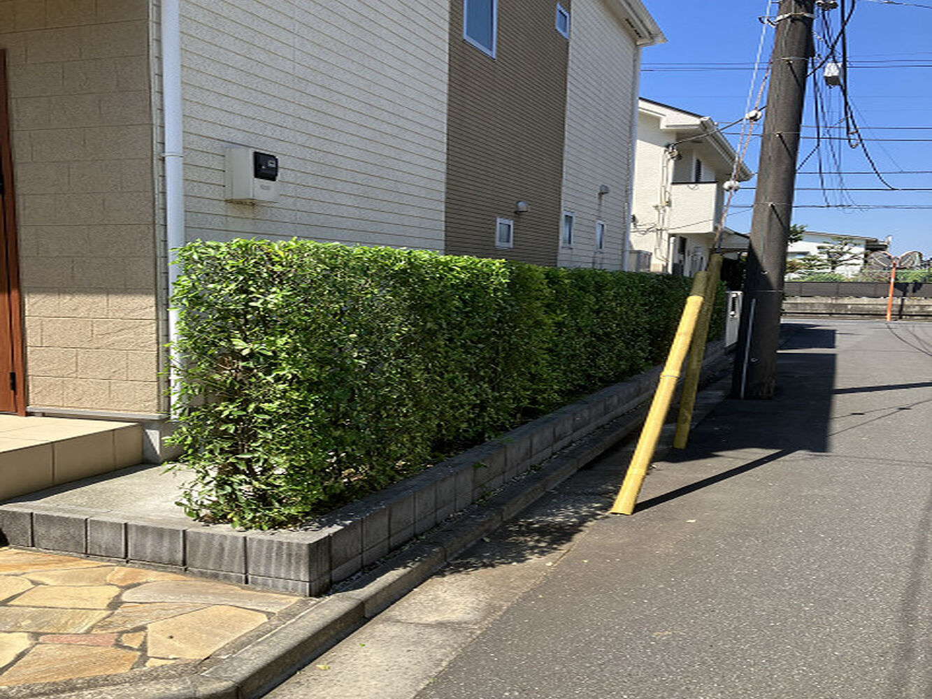 ブログ画像
