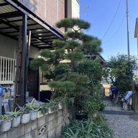ブログ画像