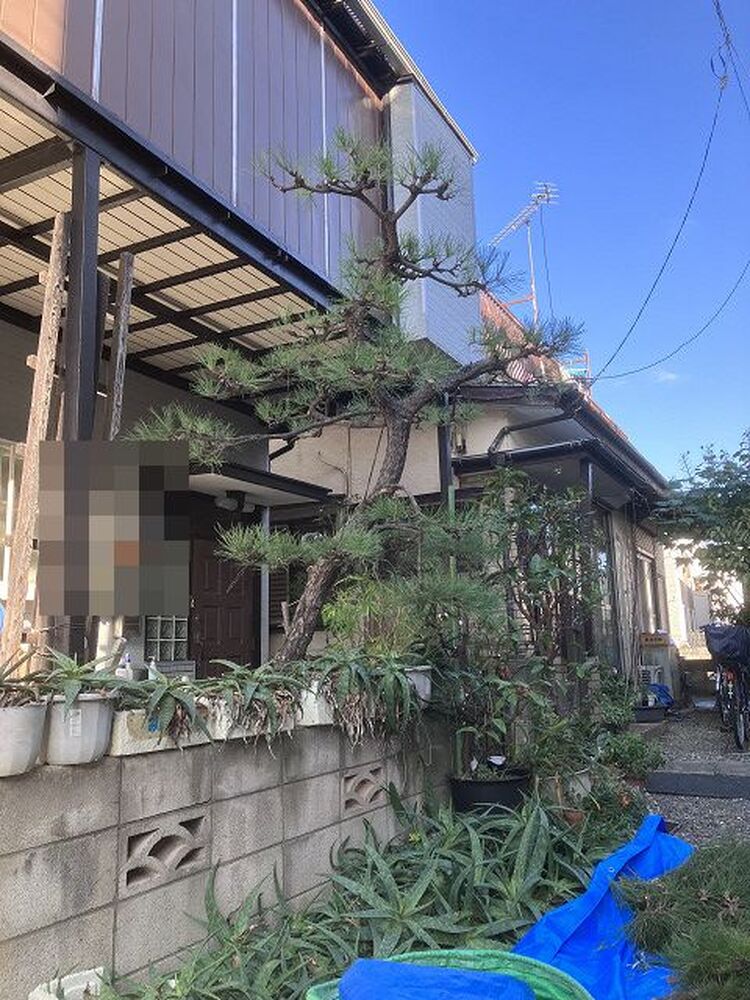 ブログ画像