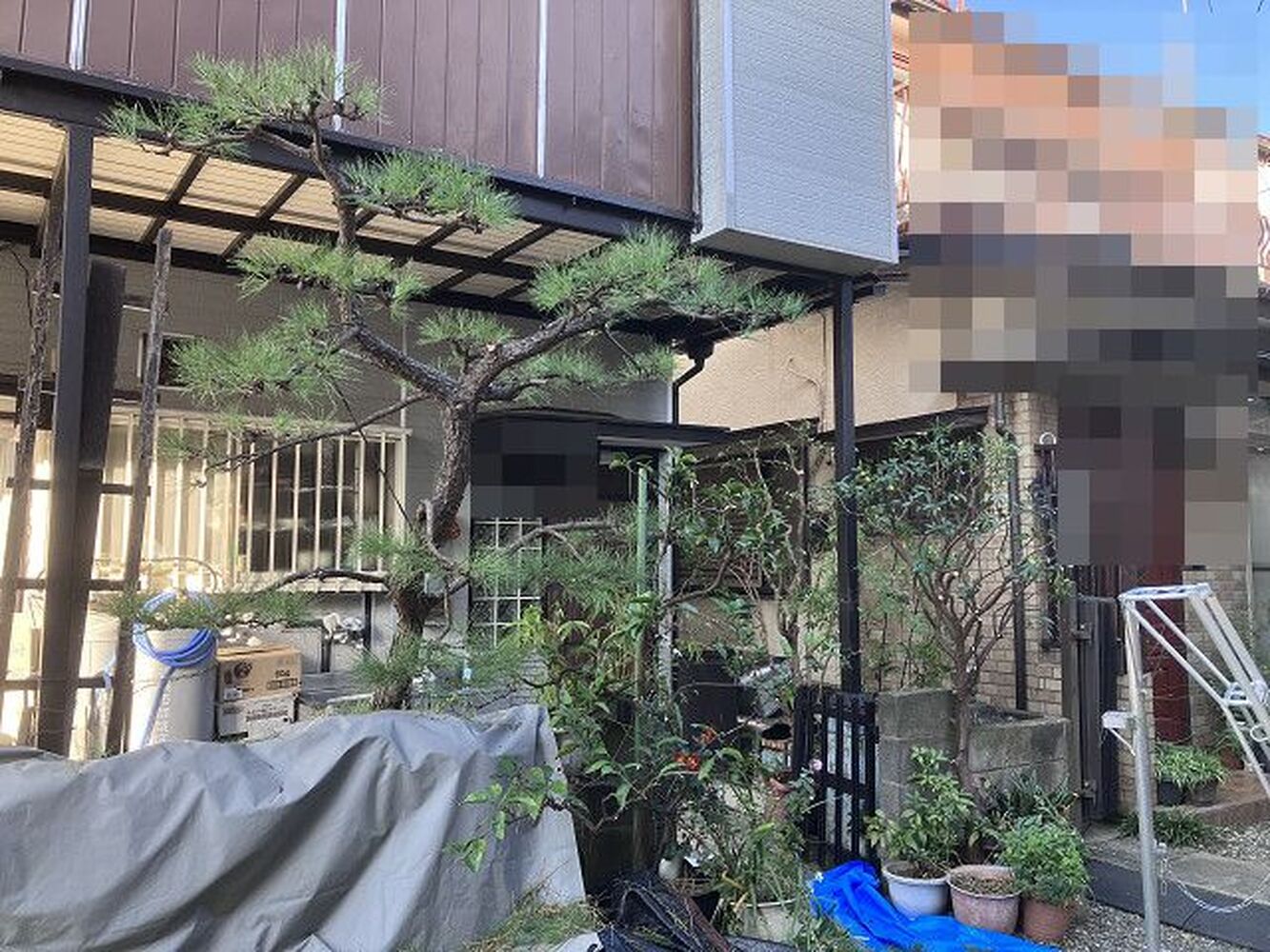ブログ画像