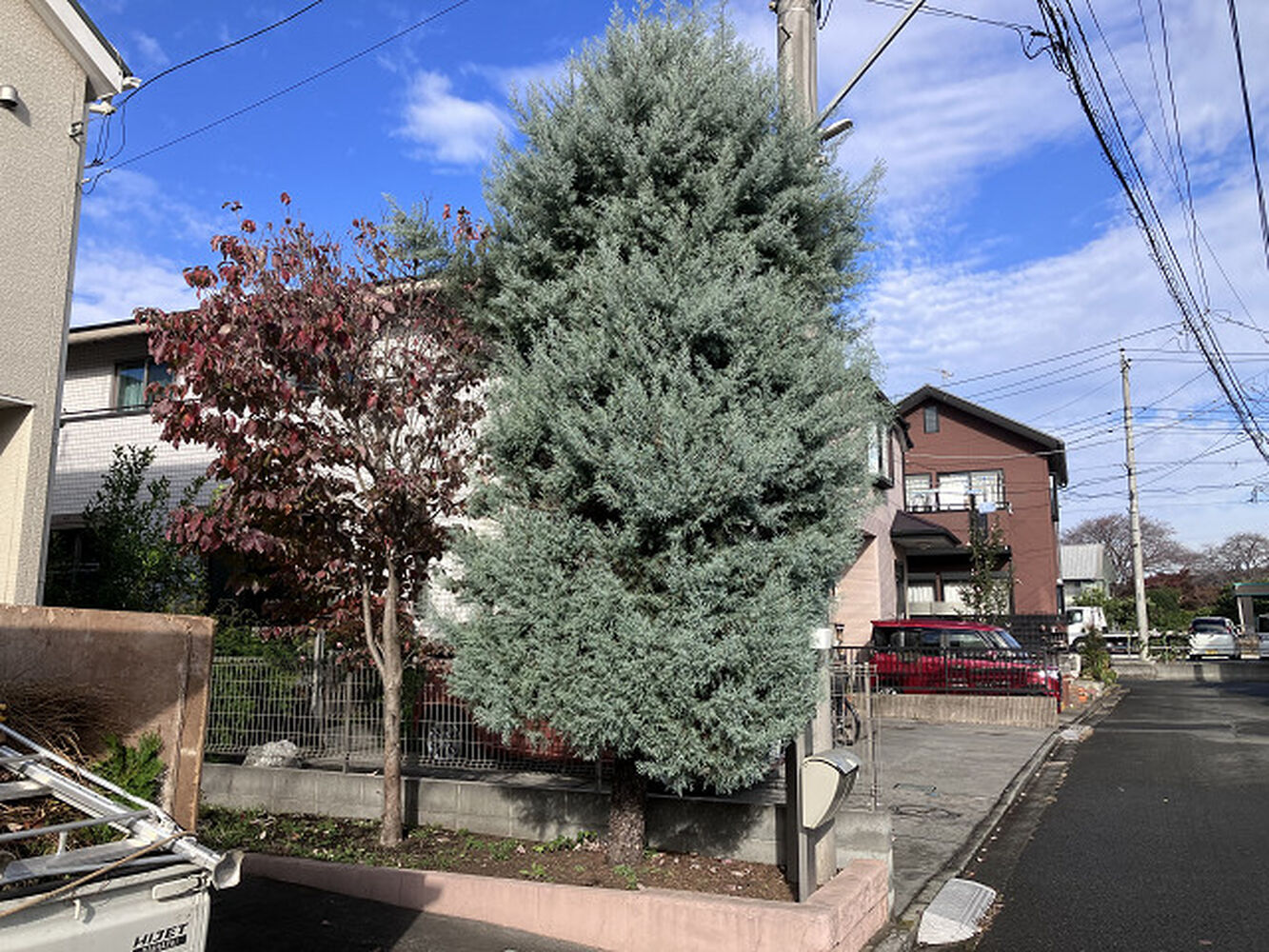 ブログ画像