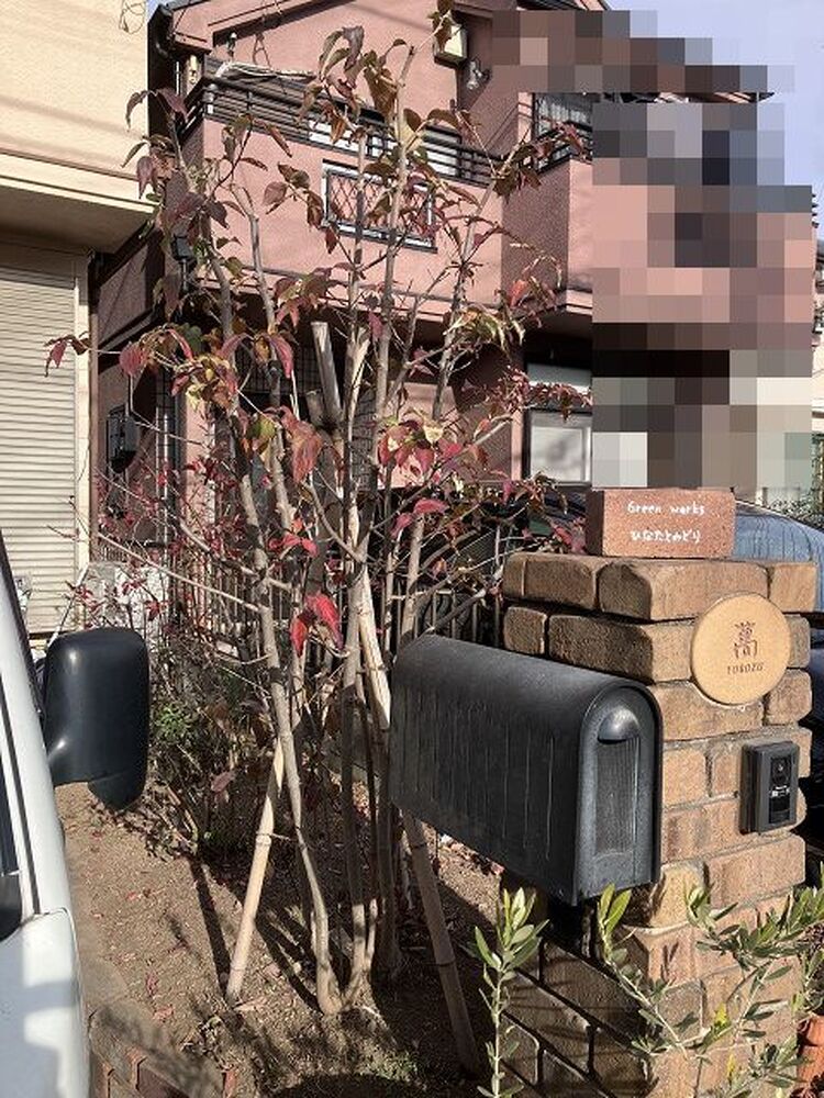 ブログ画像
