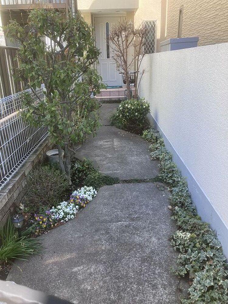 ブログ画像