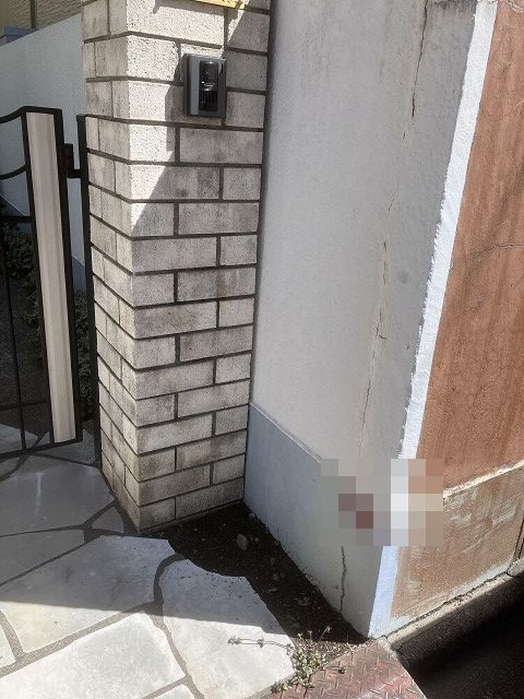 ブログ画像