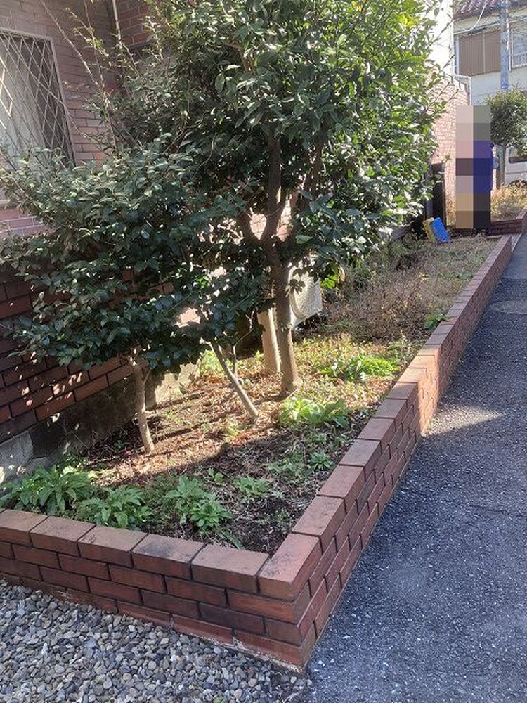 ブログ画像