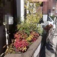 ブログ画像