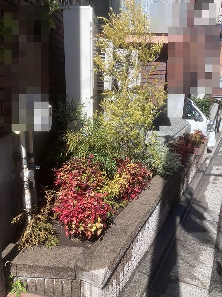 ブログ画像
