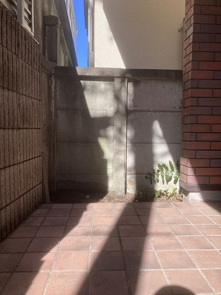 ブログ画像