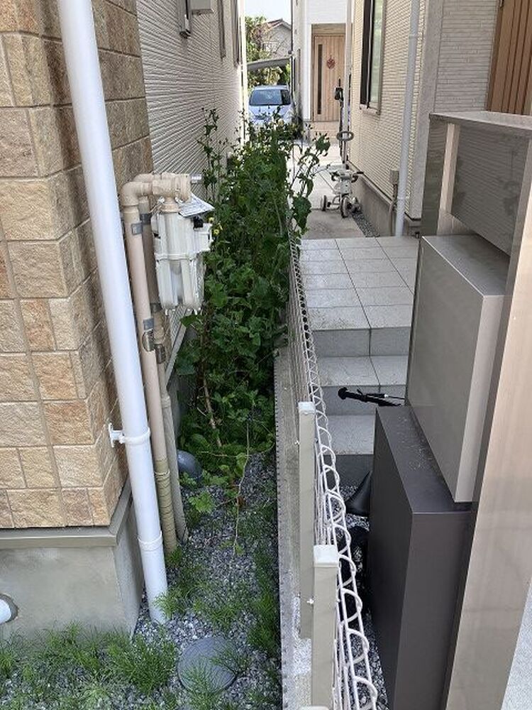 ブログ画像
