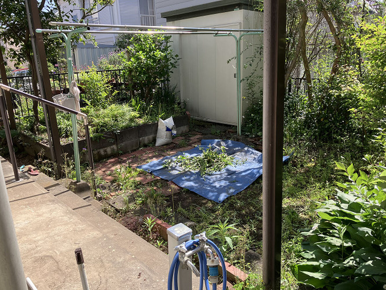 ブログ画像